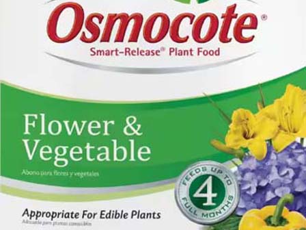 Osmocote 1